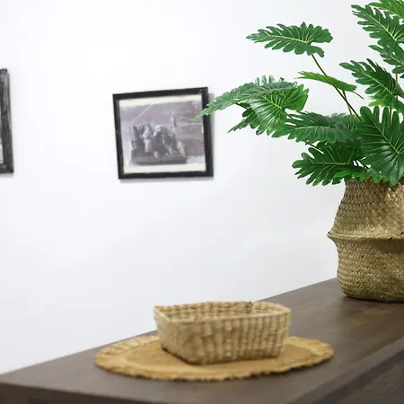 Hospedium Dlj La Paz Pensión Marmolejo